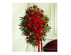 Red Sympathy Spray