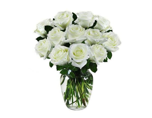 White Sympathy Roses